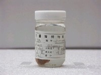 藏品(鮟鱇)的圖片